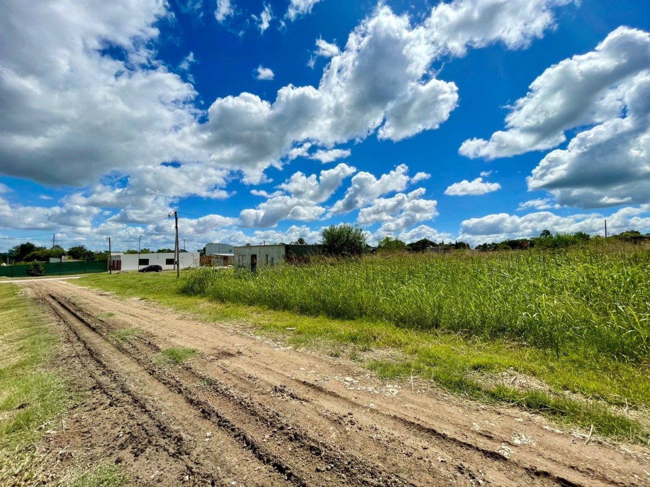 2 TERRENO CONTIGUOS EN VENTA EN SAN BENITO