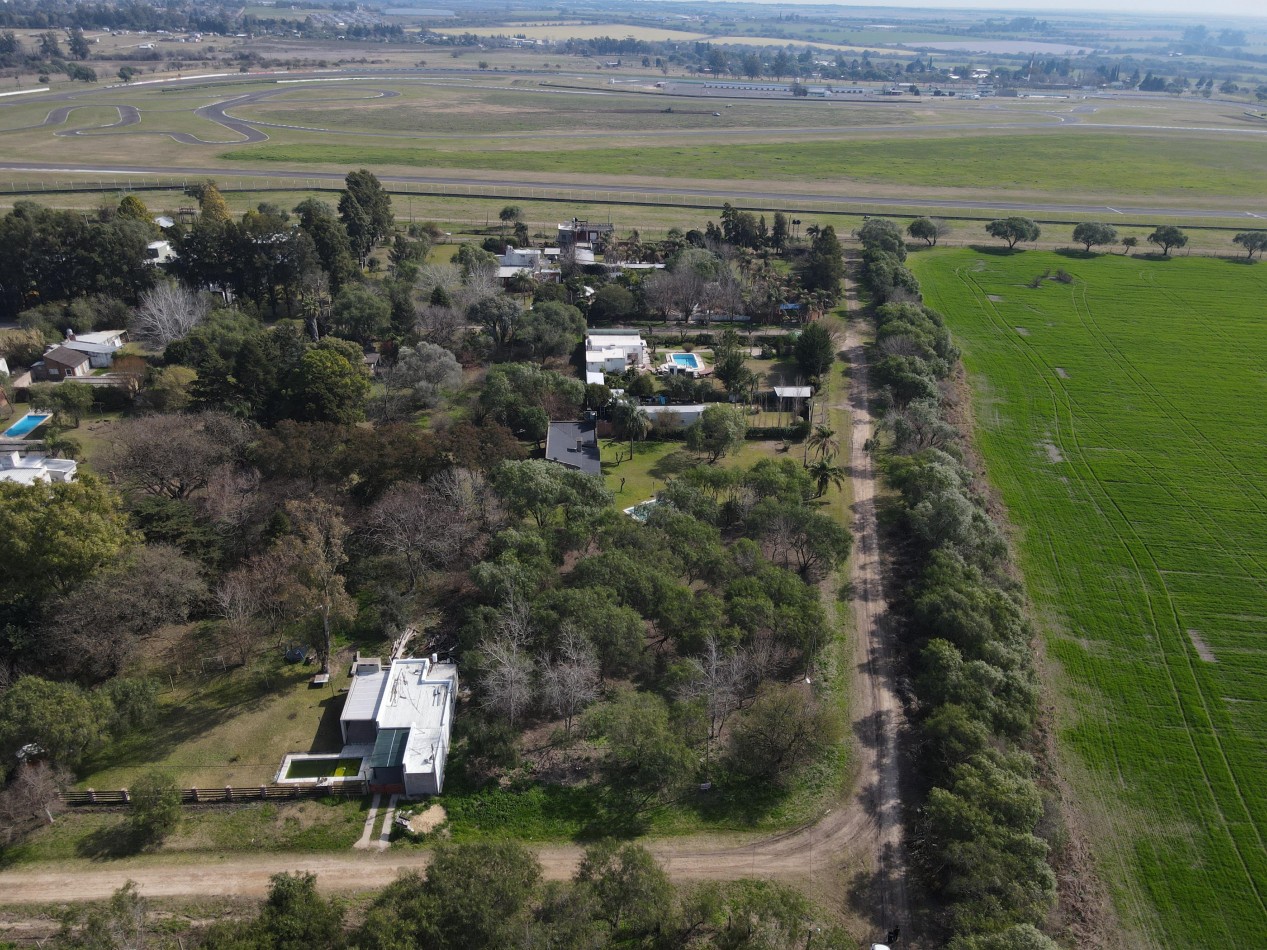 VENTA GRAN LOTE SAUCE MONTRULL