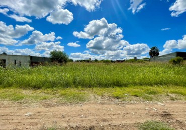 2 TERRENO CONTIGUOS EN VENTA EN SAN BENITO